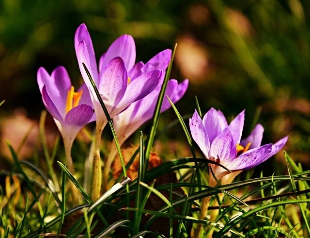 Какой церковный праздник отмечают 23 марта 2025 года