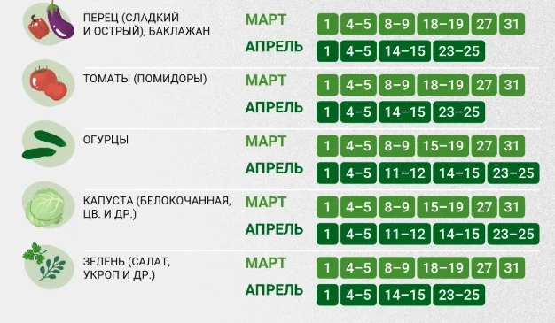 Благоприятные числа для посадки в марте и апреле 2025 года согласно посадочному календарю