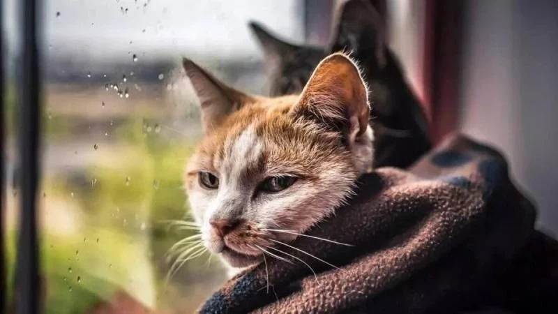 Приметы и поверья 28 марта несут народную мудрость и помогают защититься от бед