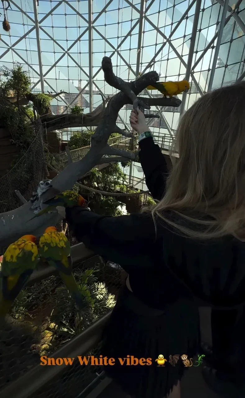 Девушка Павла Дурова Юлия Вавилова показала совместное фото с ним, повторив тренд из сети