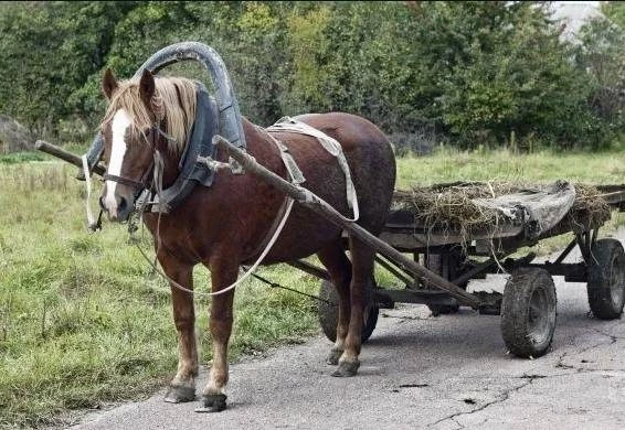 В субботу, 29 марта 2025 года, отмечается несколько праздников, какой церковный праздник в России сегодня