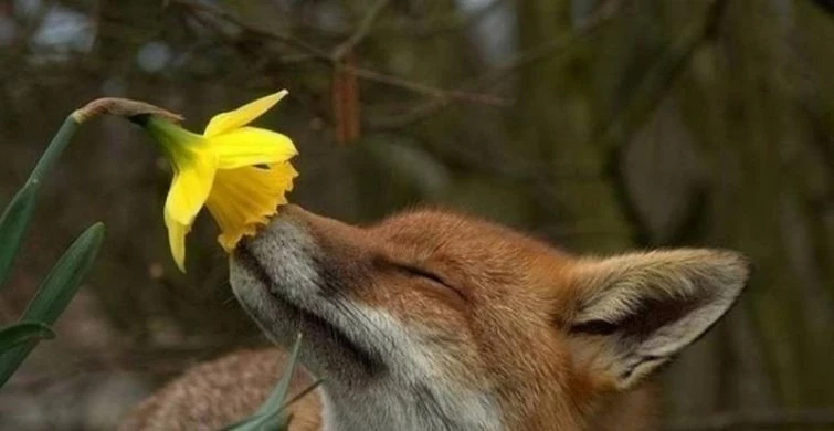 Народный праздник Проклов день отпразднуем в субботу, 3 мая 2025 года