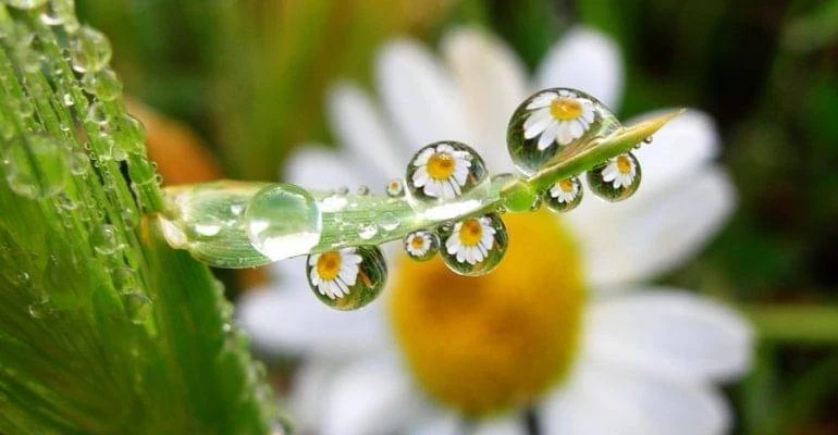 Апостола и евангелиста Марка Александрийского чтит православная церковь 8 мая 2025 года