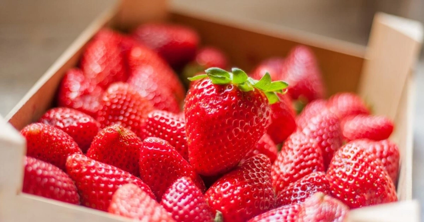Нутрициолог рассказал, как выбрать клубнику и на что обращать внимание перед покупкой