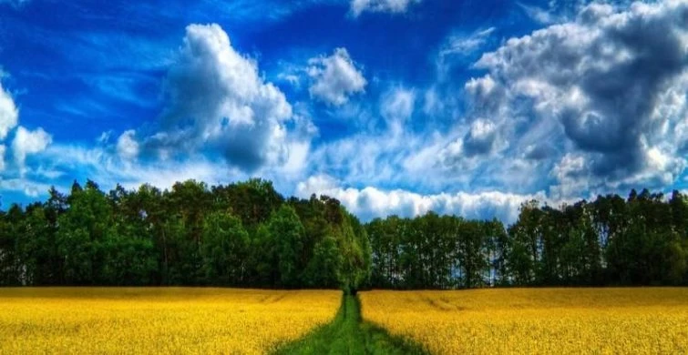 Несколько праздников отмечают 9 июня 2025 года в Росси и в мире