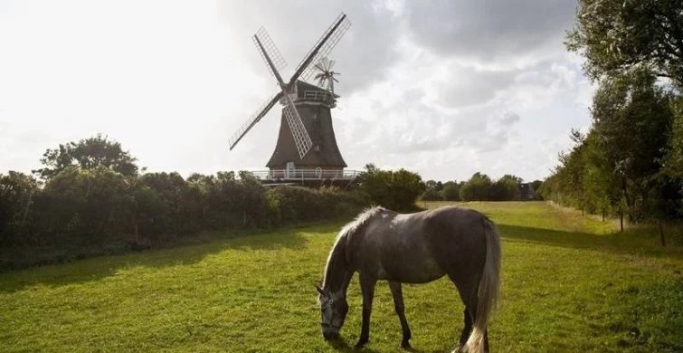 Что можно и нельзя делать в народно-христианский праздник 13 июня 2025 года по приметам