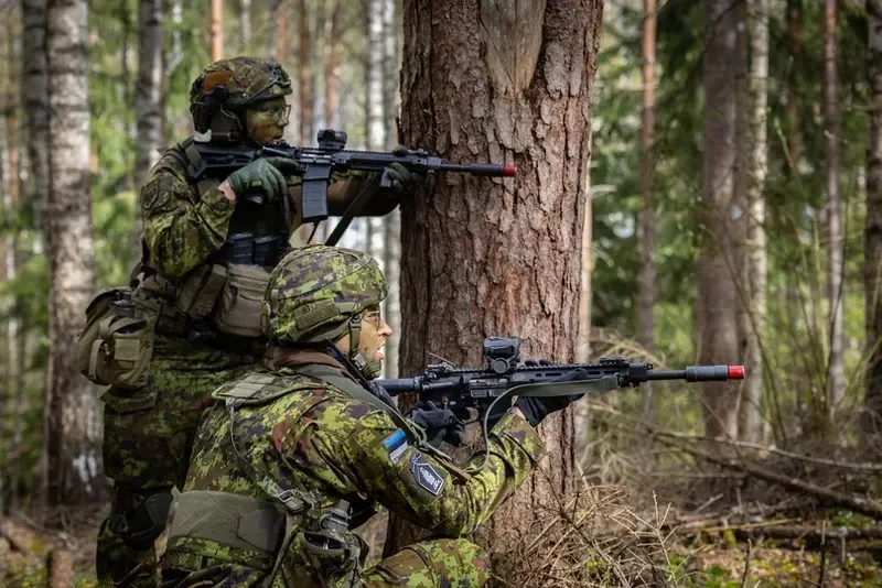 «Противотанковые рвы, бункеры и колючая проволока»: Эстония начала возведение «Балтийской оборонительной линии» на границе с Россией