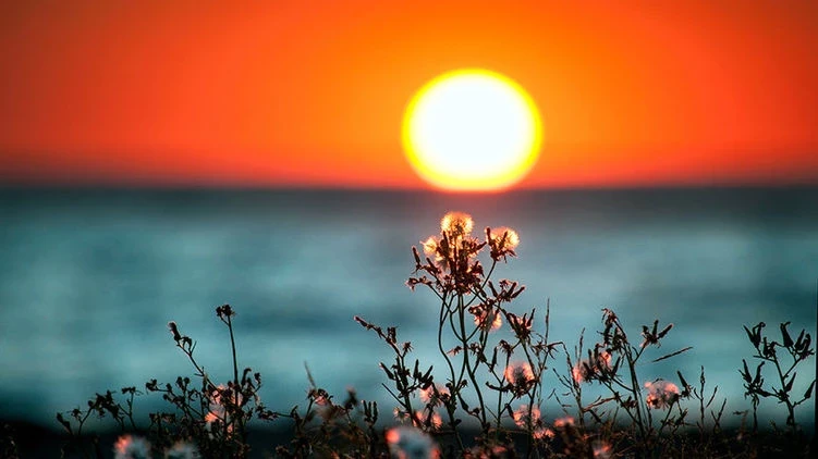 Летнее солнцестояние 21 июня 2025 года – самый длинный день в году