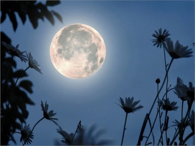 Советы лунного календаря на июль 2025 года: каких дней бояться, когда стричься и краситься