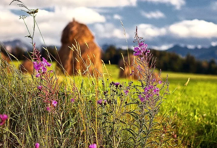Что можно и что нельзя делать в праздник Летние Кузьминки, 14 июля 2025 года
