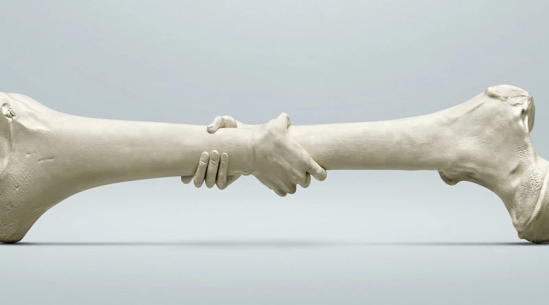 Загадочный факт: как «теория сломанных костей» из соцсетей объясняет испытания, которые вам предстоят в жизни