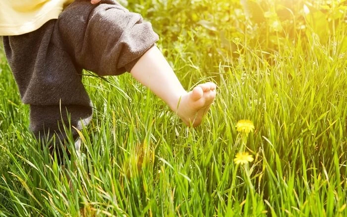 Приметы и поверья на 8 сентября 2025 года для тех, кто верит в знаки природы